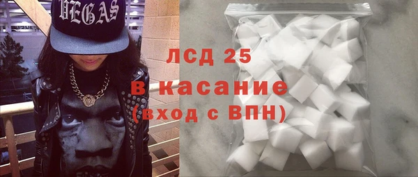 PSILOCYBIN Ельня