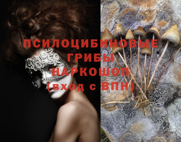 PSILOCYBIN Ельня