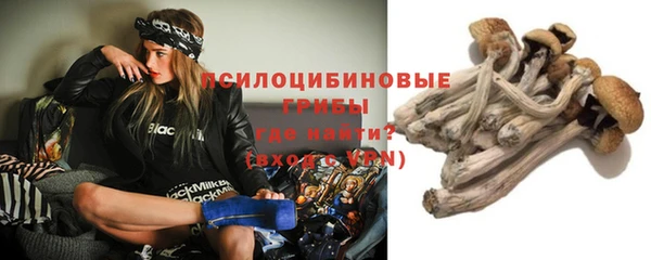 PSILOCYBIN Ельня