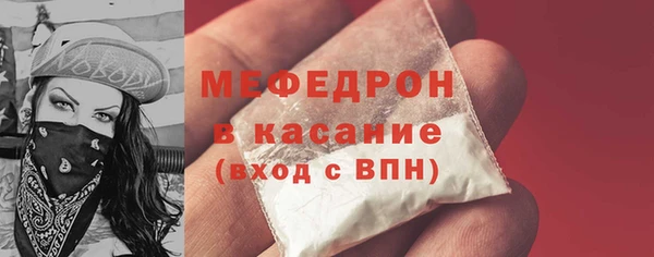 PSILOCYBIN Ельня