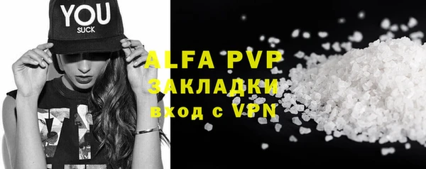 PSILOCYBIN Ельня