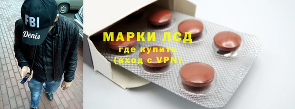 PSILOCYBIN Ельня
