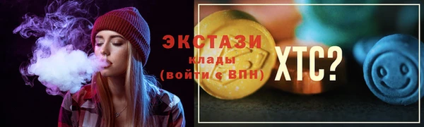 PSILOCYBIN Ельня
