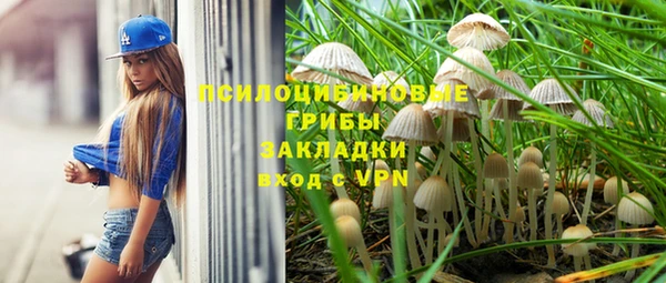стафф Елабуга