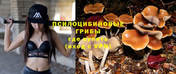 гашиш Елизово