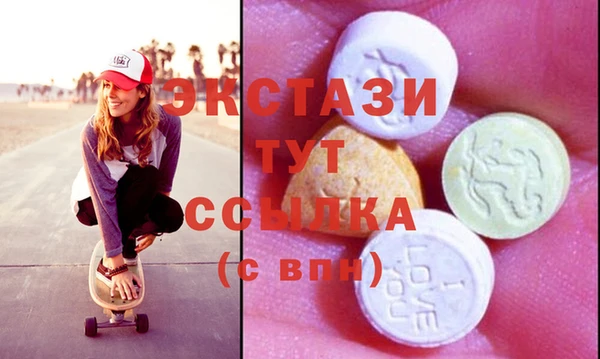 PSILOCYBIN Ельня