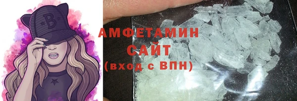 PSILOCYBIN Ельня