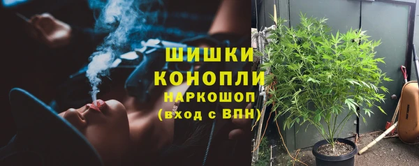 PSILOCYBIN Ельня